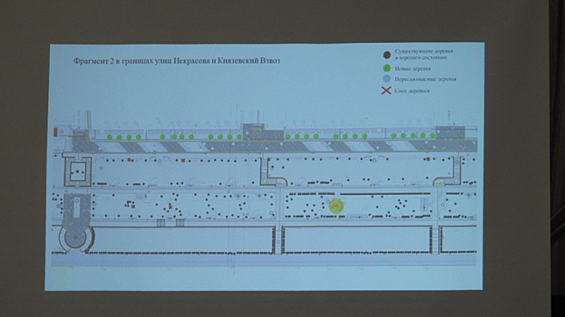 На старой набережной Саратова во время реконструкции могут снести 20 деревьев