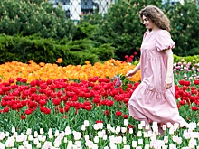 "Мы солнцем пьяны, как вином". Десять стихотворений о том, как нежен бывает май