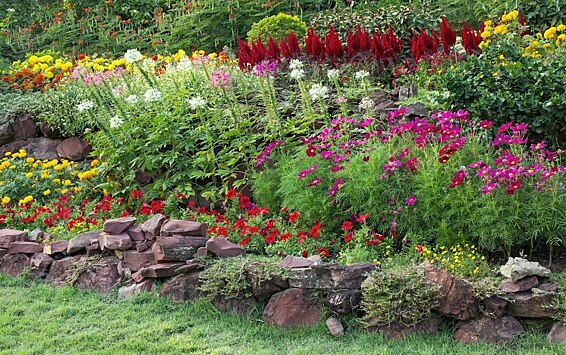 Сад непрерывного цветения — как обустроить на участке, что учесть при посадке растений и уходе за ними