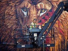 Изображение леопарда украсит Владивосток в рамках международного арт-проекта