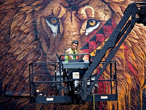 Изображение леопарда украсит Владивосток в рамках международного арт-проекта