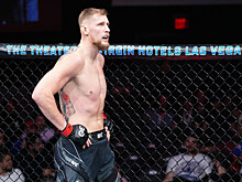 Волков нокаутировал Романова в первом раунде на турнире UFC