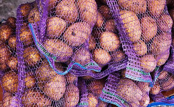 В России по факту сложилась «картофельная мафия», это видят все, кроме Минсельхоза, Минпромторга и ФАС