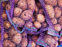 В России по факту сложилась «картофельная мафия», это видят все, кроме Минсельхоза, Минпромторга и ФАС