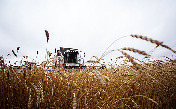 На трактористов и медсестер учат в Чистоозерном районе