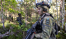 Политолог прокомментировал возможное вступление Швеции в НАТО