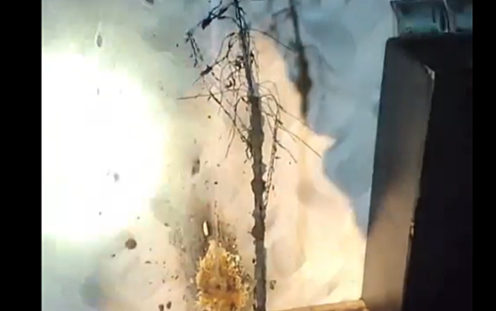 В Курске в квартире на проспекте Клыкова загорелась ёлка из-за неисправной гирлянды