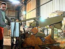 Окорочный станок заработал на вологодском предприятии «Надежда»