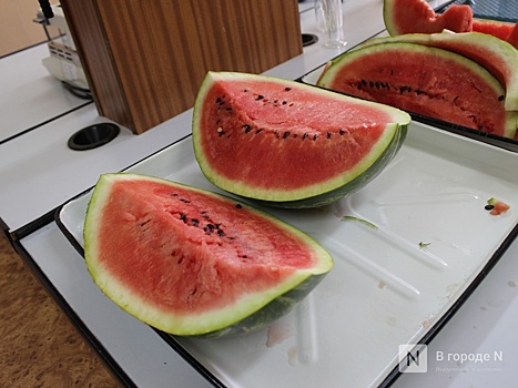 Арбуз размером со спичечный коробок вырастили в Нижегородской области