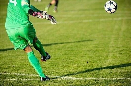 В Госдуму внесли проект об обязанности спортсменов сообщать о тренировках за границей