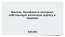 Житель Ленобласти построил собственную железную дорогу и паровоз