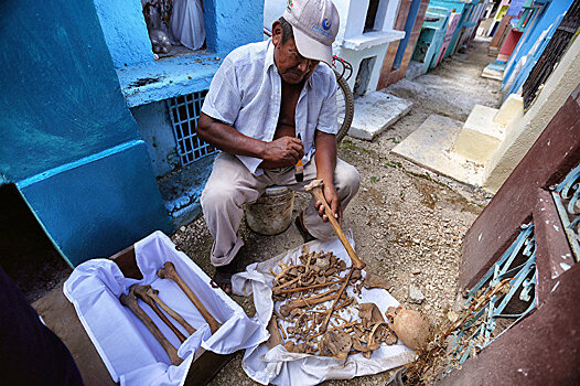 Nature (США): кости майя воскрешают утраченную цивилизацию