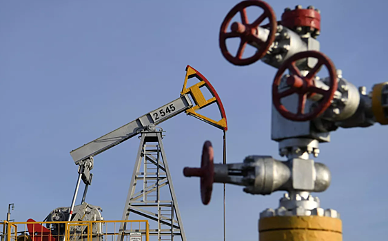 В Польше оценили влияние эмбарго на нефть из РФ на Европу