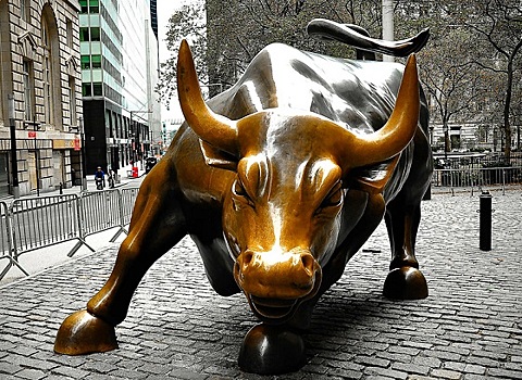 5 знаменитых волков с Уолл-стрит