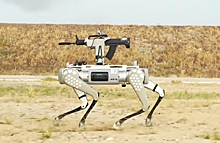 Армия КНР испытала боевую собаку-робота с автоматом