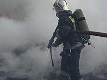 Под Челябинском сгорел дом опекунши, у которой забрали девочку с ДЦП