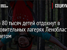 Около 80 тысяч детей отдохнут в оздоровительных лагерях Ленобласти этим летом