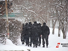 В свердловской деревне обнаружены коробки с диодами: жители эвакуированы