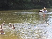 В Тамбове запретили купание на всех городских пляжах