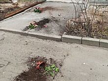 Во Владимире хулиганы бросали в машины горшки с цветами