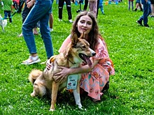 К братьям меньшим с любовью: в Обручевском районе провели дог-френдли фестиваль, а в Ясенево приехал мобильный груминг