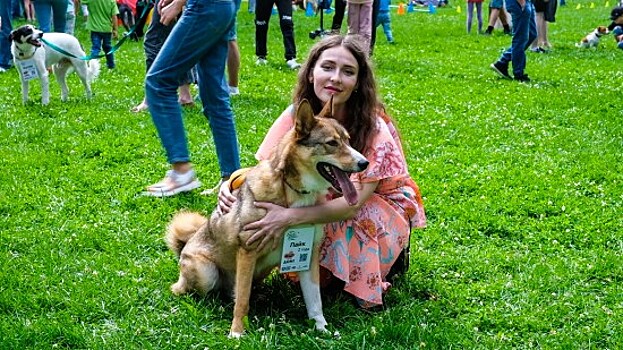 К братьям меньшим с любовью: в Обручевском районе провели дог-френдли фестиваль, а в Ясенево приехал мобильный груминг