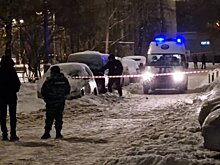 "360": служебная собака нашла следы взрывчатки у автомобиля в Свиблове