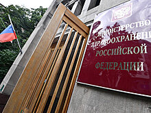 Медведев назначил Камкина заместителем министра здравоохранения