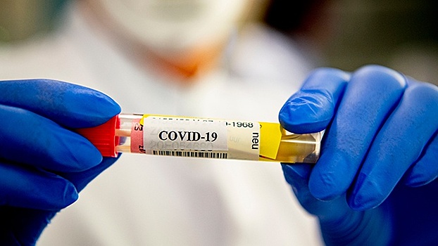 Названа группа крови, которая увеличивает риск заражения коронавирусом