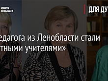 Три педагога из Ленобласти стали «Почетными учителями»