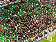 Венгерские фанаты устроили драку с лондонской полицией на матче отбора ЧМ-2022