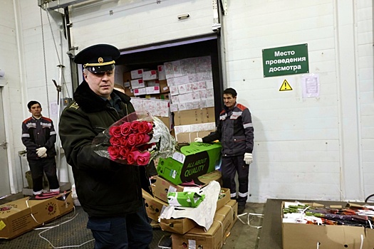 красивые стихи о женском возрасте. высказывания о возрасте женщины. веселые бабушки. стихи о женском возрасте. годы был баб.