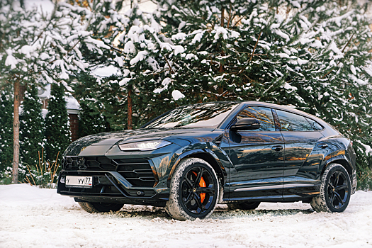 Суточная аренда Lamborghini Urus обойдется в две средних российских зарплаты