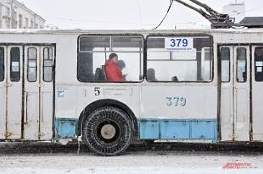 Выпавший в Екатеринбурге снег парализовал движение транспорта и пешеходов