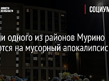 Жители одного из районов Мурино жалуются на мусорный апокалипсис