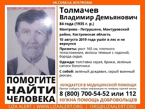 В Костромской области уже неделю ищут 84-летнего грибника