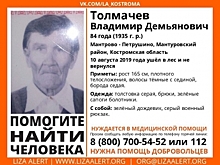 В Костромской области уже неделю ищут 84-летнего грибника