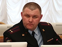 Экс-начальник омской полиции Меркушов, устроивший драку в московском метро, собирается стать главой ...