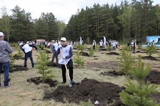 Под зеленым крылом: в Иркутской области РУСАЛ высадил полмиллиона деревьев