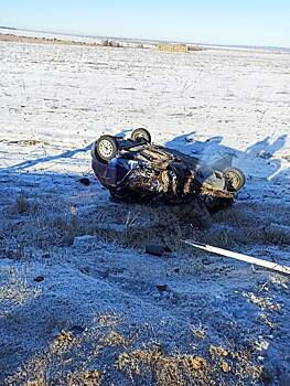 В массовом ДТП в Пензенской области погибли два человека