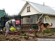 Что можно делать на даче, а что – нельзя: новый закон заработает с 1 сентября 2025 года