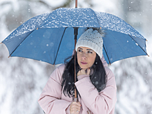 Названы случаи, когда в мороз и снегопад можно пропустить работу