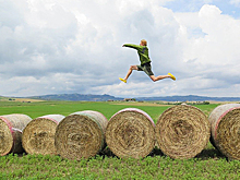 Законопроект о сельском туризме в России ждут к 2020 году