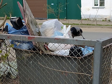 В Костроме намусорили на 100 тысяч рублей