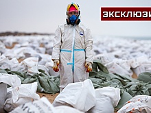 МЧС: порядка 64 тысяч тонн грунта собрано с побережья в Краснодарском крае