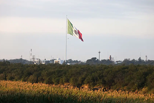 На границе США задержали двухлетнюю девочку из Сальвадора, искавшую родителей