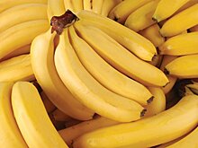 Эквадор возобновил сертификацию поставляемых в Россию бананов