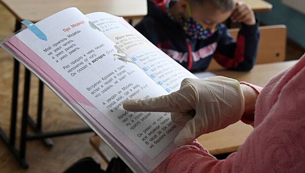 Школы Севастополя возобновят работу после каникул в очном режиме с 16 ноября