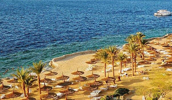 В РСТ рассчитывают, что авиасообщение с курортами Египта возобновят в июле