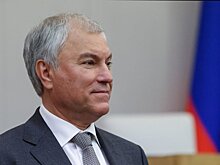 Вячеслав Володин: сельское хозяйство в России демонстрирует хорошие результаты